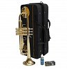 Труба Bb Prelude by Bach TR-710 купить в Москве: цены, доставка, фото