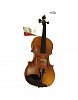 Скрипка Karl Hofner H5D-V 4/4 купить в Москве: цены, доставка, фото