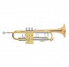 Труба Bb Bach 180 37G Stradivarius купить в Москве: цены, доставка, фото