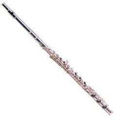 Флейта Maxtone TFC-54S