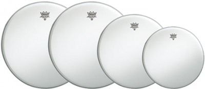 REMO PP-0110-BA AMBASSADOR PRO PACK набор пластиков (AMBASSADOR COATED 10',12',14'-2ШТ.) купить в Москве: цены, доставка, фото REMO PP-0110-BA AMBASSADOR PRO PACK набор пластиков (AMBASSADOR COATED 10',12',14'-2ШТ.) купить в Москве: цены, доставка, фото