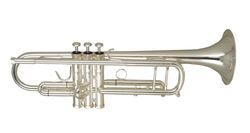Труба WISEMANN DTR-800SP купить в Москве: цены, доставка, фото Труба WISEMANN DTR-800SP купить в Москве: цены, доставка, фото