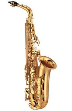 Саксофон Альт ROLLINSAR Custom Class купить в Москве: цены, доставка, фото Саксофон Альт ROLLINSAR Custom Class купить в Москве: цены, доставка, фото