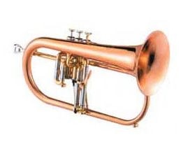 Флюгельгорн Bb BRAHNER FLH-555 купить в Москве: цены, доставка, фото Флюгельгорн Bb BRAHNER FLH-555 купить в Москве: цены, доставка, фото