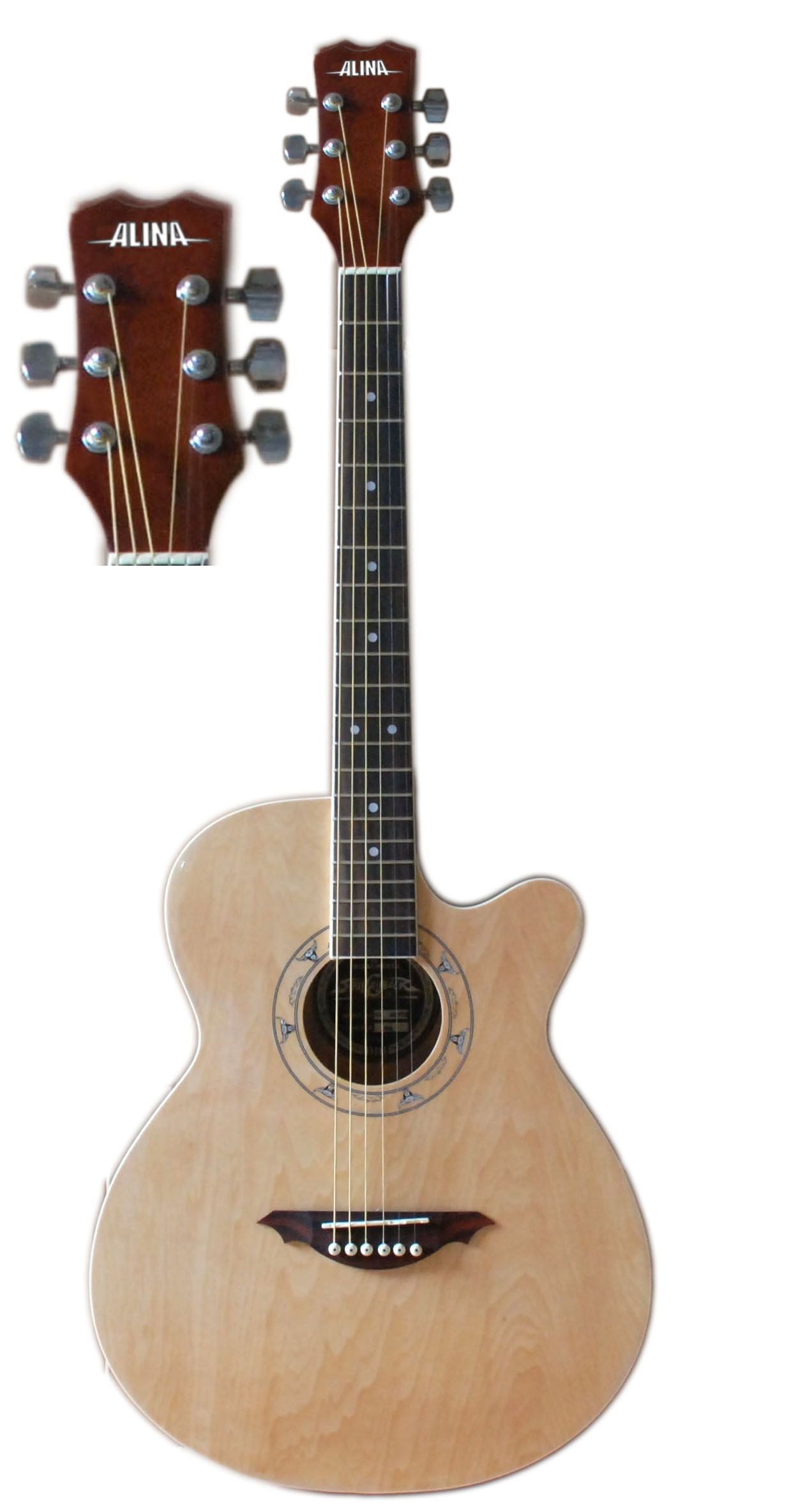 Акустическая гитара ALINA SG-500