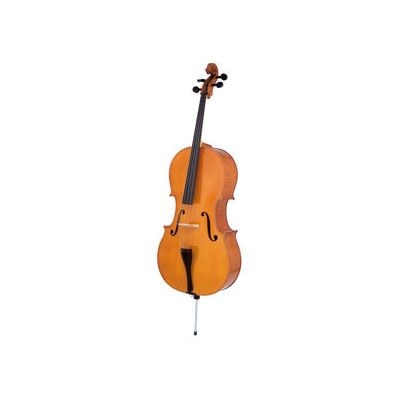 Виолончель KARL HEINLICH THC-32 3/4 купить в Москве: цены, доставка, фото Виолончель KARL HEINLICH THC-32 3/4 купить в Москве: цены, доставка, фото