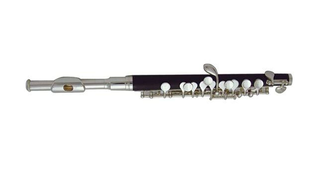 Флейта пикколо WISEMANN DPL-400