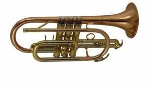 Корнет WISEMANN DCT-500 купить в Москве: цены, доставка, фото Корнет WISEMANN DCT-500 купить в Москве: цены, доставка, фото