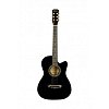 Акустическая гитара Belucci 3810 BLS купить в Москве: цены, доставка, фото