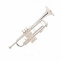 Труба "Bb" BACH 180CUSTOM 180S37 купить в Москве: цены, доставка, фото Труба "Bb" BACH 180CUSTOM 180S37 купить в Москве: цены, доставка, фото