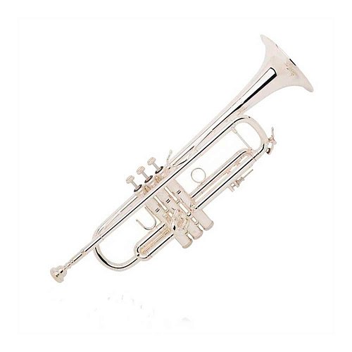 Труба "Bb" BACH 180CUSTOM 180S37 купить в Москве: цены, доставка, фото Труба "Bb" BACH 180CUSTOM 180S37 купить в Москве: цены, доставка, фото