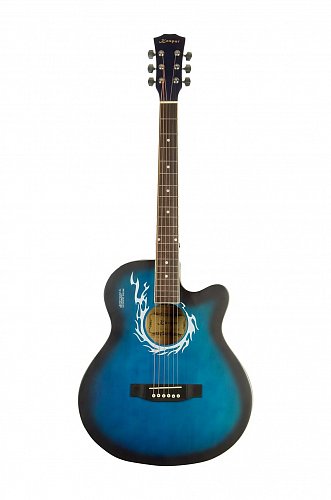 Kaspar 4011 BLS (акустическая) купить в Москве: цены, доставка, фото Kaspar 4011 BLS (акустическая) купить в Москве: цены, доставка, фото