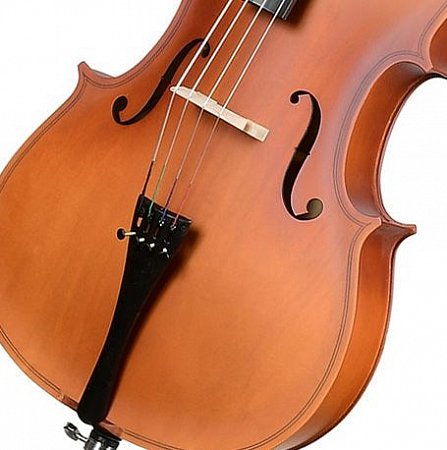 Виолончель ANTONIO LAVAZZA CL-280M 3/4 купить в Москве: цены, доставка, фото Виолончель ANTONIO LAVAZZA CL-280M 3/4 купить в Москве: цены, доставка, фото