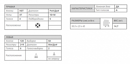 Аккордеон Scandalli Extreme P купить в Москве: цены, доставка, фото Аккордеон Scandalli Extreme P купить в Москве: цены, доставка, фото