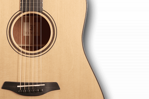 FURCH Green D-SM Акустическая гитара с кейсом купить в Москве: цены, доставка, фото FURCH Green D-SM Акустическая гитара с кейсом купить в Москве: цены, доставка, фото