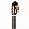 2.316 Flamenco 55th Anniversary Классическая гитара 4/4, с футляром, Alhambra купить в Москве: цены, доставка, фото 2.316 Flamenco 55th Anniversary Классическая гитара 4/4, с футляром, Alhambra купить в Москве: цены, доставка, фото