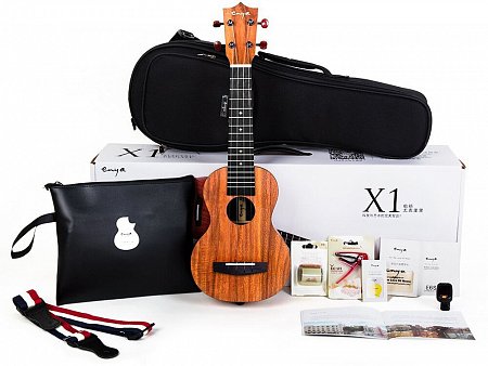 Укулеле Enya EUS-X1 купить в Москве: цены, доставка, фото Укулеле Enya EUS-X1 купить в Москве: цены, доставка, фото