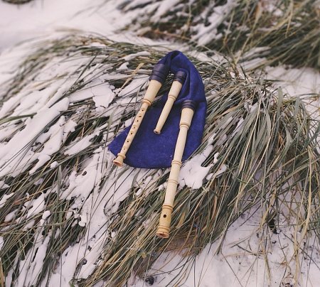 Шведская волынка Сакпипа продажа в Москве Шведская волынка Сакпипа купить в Москве: цены, доставка, фото