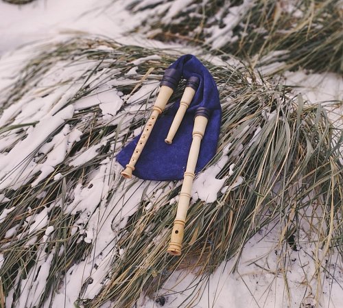 Шведская волынка Сакпипа продажа в Москве Шведская волынка Сакпипа купить в Москве: цены, доставка, фото