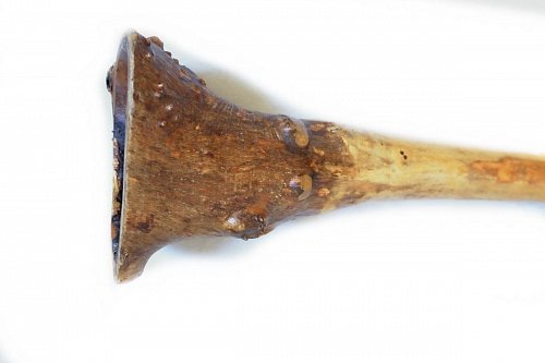 Диджериду эвкалипт корень 150 см – Ре# продажа в Москве Диджериду эвкалипт корень 150 см – Ре# купить в Москве: цены, доставка, фото