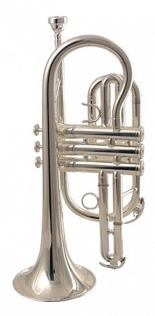 Корнет WISEMANN DCT-650SP купить в Москве: цены, доставка, фото Корнет WISEMANN DCT-650SP купить в Москве: цены, доставка, фото