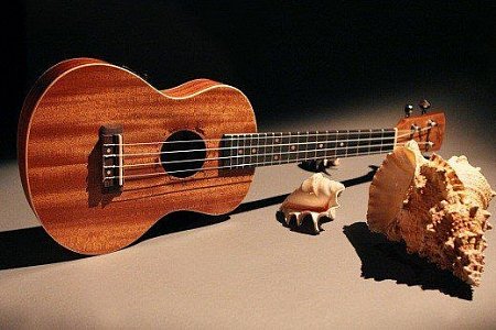 Укулеле FLIGHT DUT 34 CEQ MAH/MAH купить в Москве: цены, доставка, фото Укулеле FLIGHT DUT 34 CEQ MAH/MAH купить в Москве: цены, доставка, фото