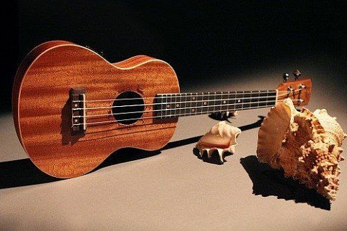 Укулеле FLIGHT DUT 34 CEQ MAH/MAH купить в Москве: цены, доставка, фото Укулеле FLIGHT DUT 34 CEQ MAH/MAH купить в Москве: цены, доставка, фото