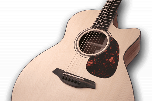 FURCH Blue Gc-SW Акустическая гитара купить в Москве: цены, доставка, фото FURCH Blue Gc-SW Акустическая гитара купить в Москве: цены, доставка, фото