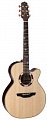 TAKAMINE LEGACY TSF48C SANTA FE электроакустическая типа NEX CUTAWAY, цвет натуральный купить в Москве: цены, доставка, фото TAKAMINE LEGACY TSF48C SANTA FE электроакустическая типа NEX CUTAWAY, цвет натуральный купить в Москве: цены, доставка, фото