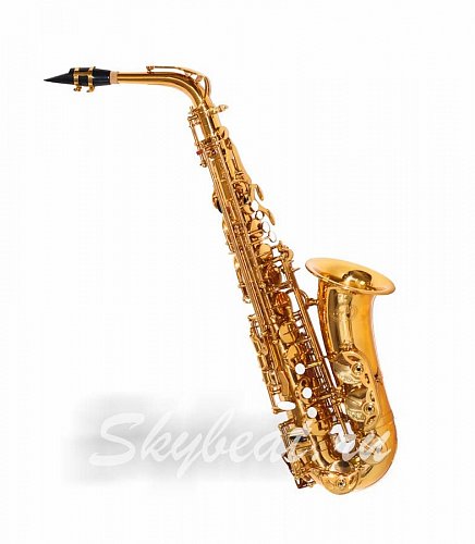 Саксофон Альт Condor CAS-460 купить в Москве: цены, доставка, фото Саксофон Альт Condor CAS-460 купить в Москве: цены, доставка, фото