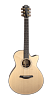 FURCH Yellow Gc-SR Акустическая гитара с кейсом купить в Москве: цены, доставка, фото