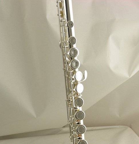 Флейта WISEMANN DFL-385 купить в Москве: цены, доставка, фото Флейта WISEMANN DFL-385 купить в Москве: цены, доставка, фото