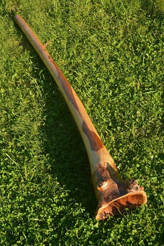 Диджериду эвкалипт корень 150 см – Ре# продажа в Москве Диджериду эвкалипт корень 150 см – Ре# купить в Москве: цены, доставка, фото