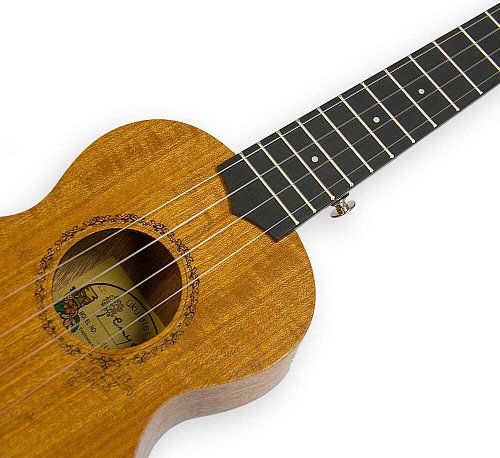 Укулеле Enya EUS-20 купить в Москве: цены, доставка, фото Укулеле Enya EUS-20 купить в Москве: цены, доставка, фото