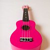 Укулеле сопрано TUTTI JR-11/RRD купить в Москве: цены, доставка, фото Укулеле сопрано TUTTI JR-11/RRD купить в Москве: цены, доставка, фото