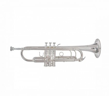 ROY BENSON TR-403S Bb труба купить в Москве: цены, доставка, фото ROY BENSON TR-403S Bb труба купить в Москве: цены, доставка, фото