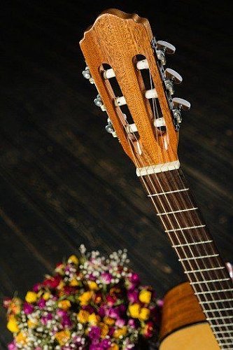 Классическая гитара FLIGHT C-120 NA купить в Москве: цены, доставка, фото Классическая гитара FLIGHT C-120 NA купить в Москве: цены, доставка, фото