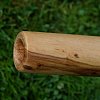 Диджериду из эвкалипта 150 см – До# продажа в Москве Диджериду из эвкалипта 150 см – До# купить в Москве: цены, доставка, фото
