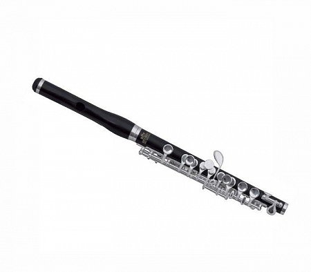 ROY BENSON PC-602 флейта Piccolo
