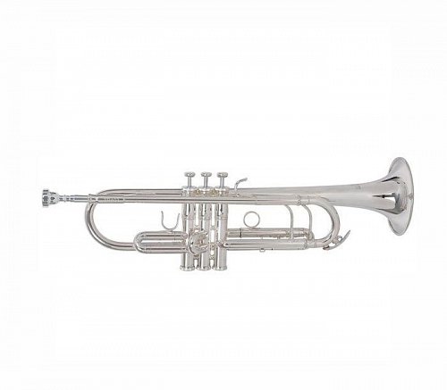 ROY BENSON TR-403S Bb труба купить в Москве: цены, доставка, фото ROY BENSON TR-403S Bb труба купить в Москве: цены, доставка, фото