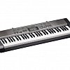 Синтезатор Casio CTK-1300 купить в Москве: цены, доставка, фото Синтезатор Casio CTK-1300 купить в Москве: цены, доставка, фото