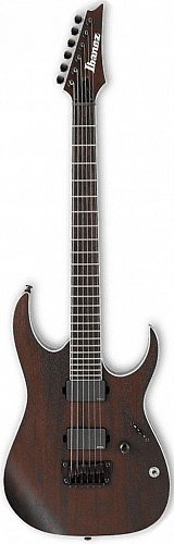 IBANEZ IRON LABEL RGIR20BFE-WNF WALNUT FLAT электрогитара купить в Москве: цены, доставка, фото IBANEZ IRON LABEL RGIR20BFE-WNF WALNUT FLAT электрогитара купить в Москве: цены, доставка, фото