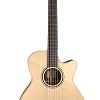 FURCH Green Gc-SR Акустическая гитара с кейсом купить в Москве: цены, доставка, фото FURCH Green Gc-SR Акустическая гитара с кейсом купить в Москве: цены, доставка, фото