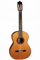 Классическая гитара PEREZ 630 Cedar купить в Москве: цены, доставка, фото Классическая гитара PEREZ 630 Cedar купить в Москве: цены, доставка, фото