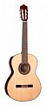Классическая гитара PEREZ 630 Spruce купить в Москве: цены, доставка, фото Классическая гитара PEREZ 630 Spruce купить в Москве: цены, доставка, фото