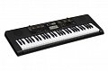 Синтезатор Casio CTK-2400 купить в Москве: цены, доставка, фото Синтезатор Casio CTK-2400 купить в Москве: цены, доставка, фото