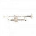 Труба "Bb" BACH 180CUSTOM 180S37 Stradivarius купить в Москве: цены, доставка, фото Труба "Bb" BACH 180CUSTOM 180S37 Stradivarius купить в Москве: цены, доставка, фото
