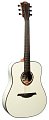 Акустическая гитара TSE200D-IVO SPECIAL EDITION купить в Москве: цены, доставка, фото Акустическая гитара TSE200D-IVO SPECIAL EDITION купить в Москве: цены, доставка, фото