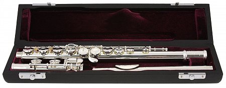 Флейта Trevor James Virtuoso 31VF-ROE купить в Москве: цены, доставка, фото