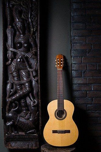 Классическая гитара FLIGHT C-120 NA купить в Москве: цены, доставка, фото Классическая гитара FLIGHT C-120 NA купить в Москве: цены, доставка, фото